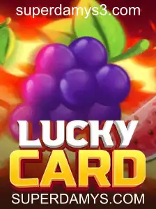 Descubra o Fascinante Mundo de LuckyCard no SUPERDAMYS.COM